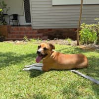 Photo of Coral Imp 1713