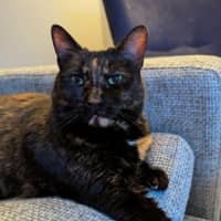 Photo of Freya