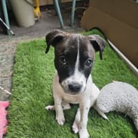 Photo of Dorothy Anne