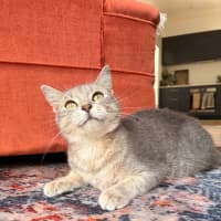 Photo of Patty