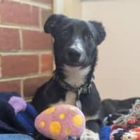 Photo of Vinnie