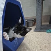 Photo of Molly