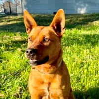 Photo of Twix 