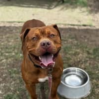 Photo of Kofu (68442)