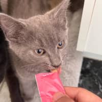 Photo of Rocket