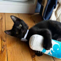 Photo of Spud