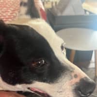 Photo of Heidi