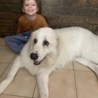 Photo of Eddie *$150 Adoption Fee*