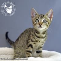 Photo of Millicent