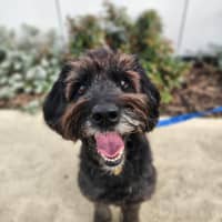 Photo of Maggie