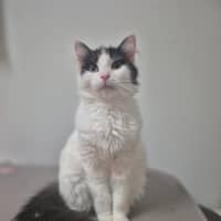 Photo of Daphne 