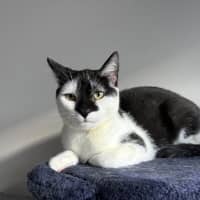 Photo of Luna