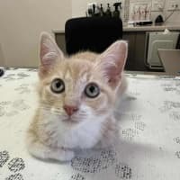 Photo of Nigel