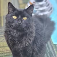 Photo of Hobie
