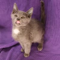 Photo of Tidbit 