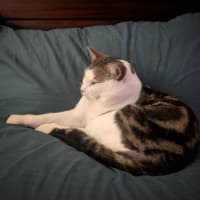 Photo of Pat