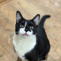 Photo of Tom
