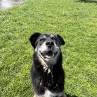 Photo of Zeus 