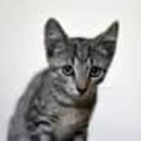 Photo of Storm