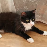 Photo of Michi