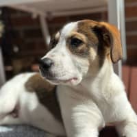 Photo of Finn
