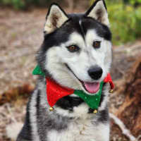 Photo of 🌪 Spiro 5596 🌪