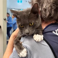 Photo of Arthur Sta013496