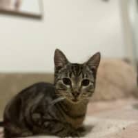 Photo of S'mores   Located In Frankston