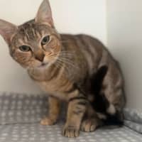 Photo of Meg