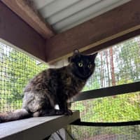 Photo of Cali