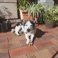 Photo of Laurie Jablonski