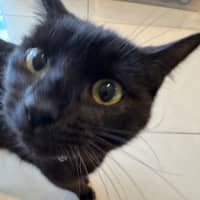 Photo of Roo
