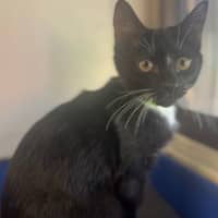 Photo of Beanie