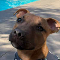 Photo of Spud