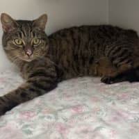 Photo of Mrs. Scraps