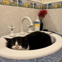 Photo of Bruce Wayne