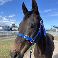 Photo of Gatsby
