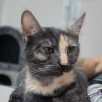 Photo of Miss Pink (0197)