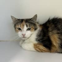 Photo of Delilah