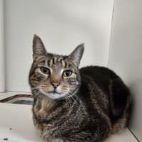 Photo of Ranger