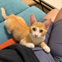 Photo of Marvin