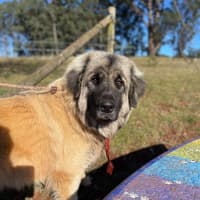 Photo of Hercules