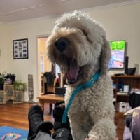 Photo of Charlie
