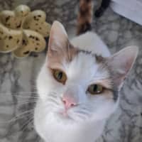 Photo of Cinders