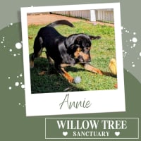 Photo of Annie
