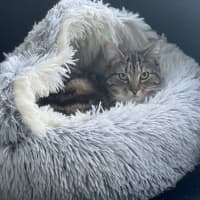 Photo of Sally Junior