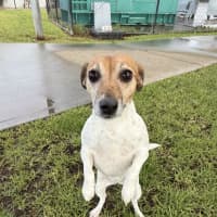 Photo of Chloe
