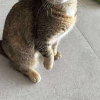 Photo of Shelby