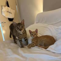 Photo of Mumma Bee And Baby Ember