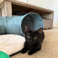 Photo of Eve & Coalette